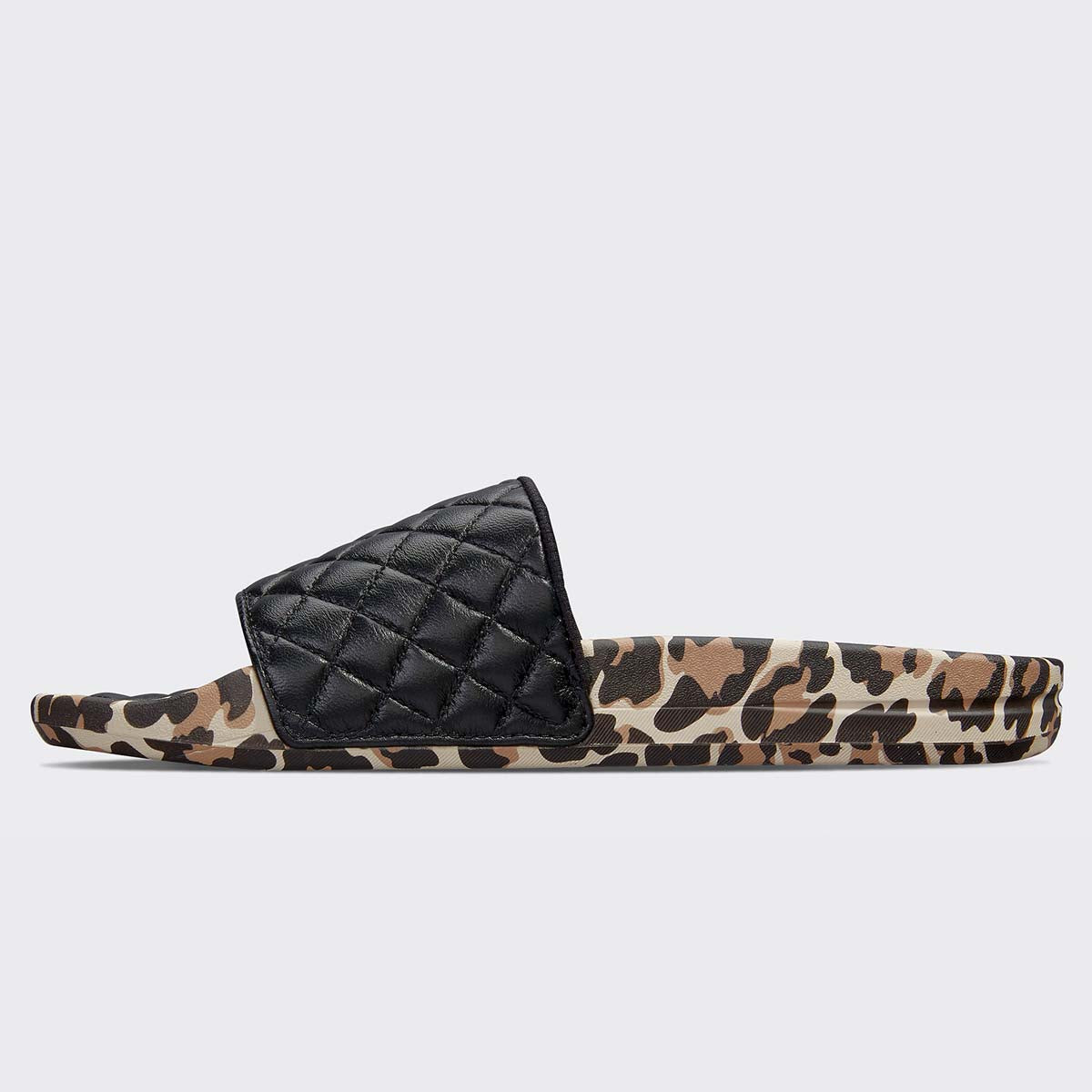 Men's Lusso Slide Black / Leopard